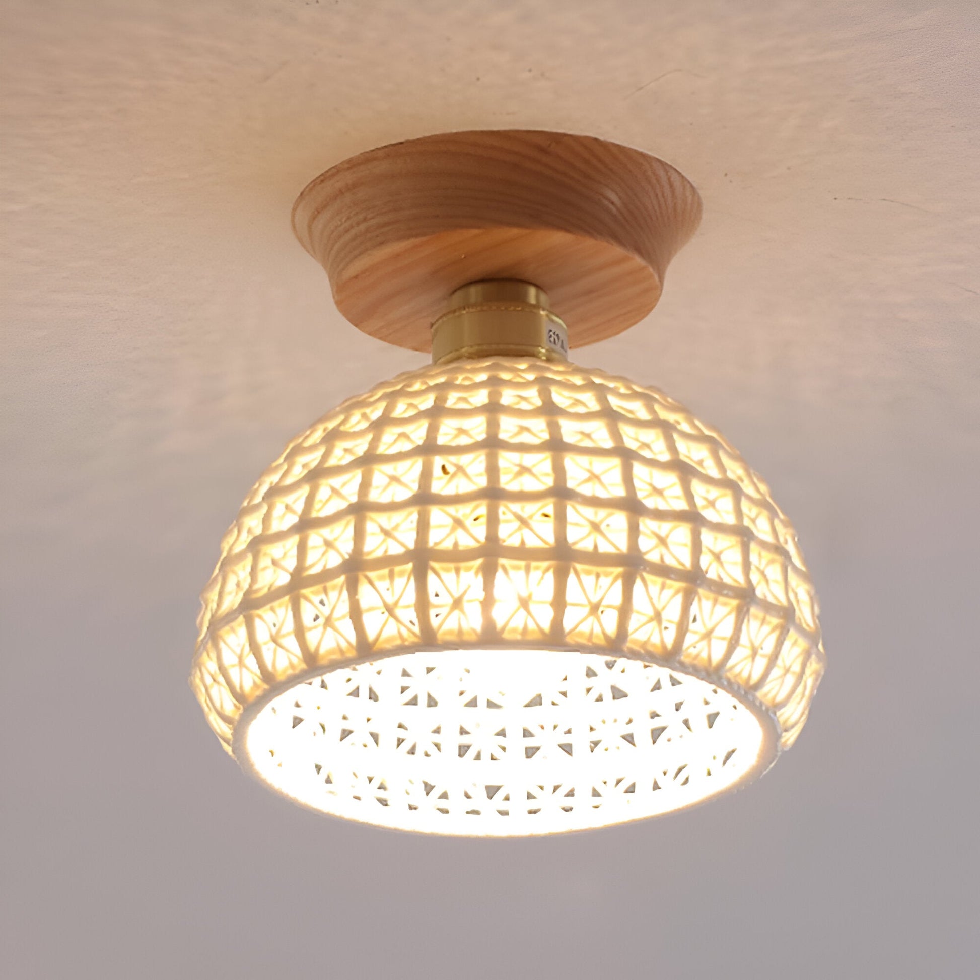 Simple Elegant White Ceiling Lamp - Luxicro
