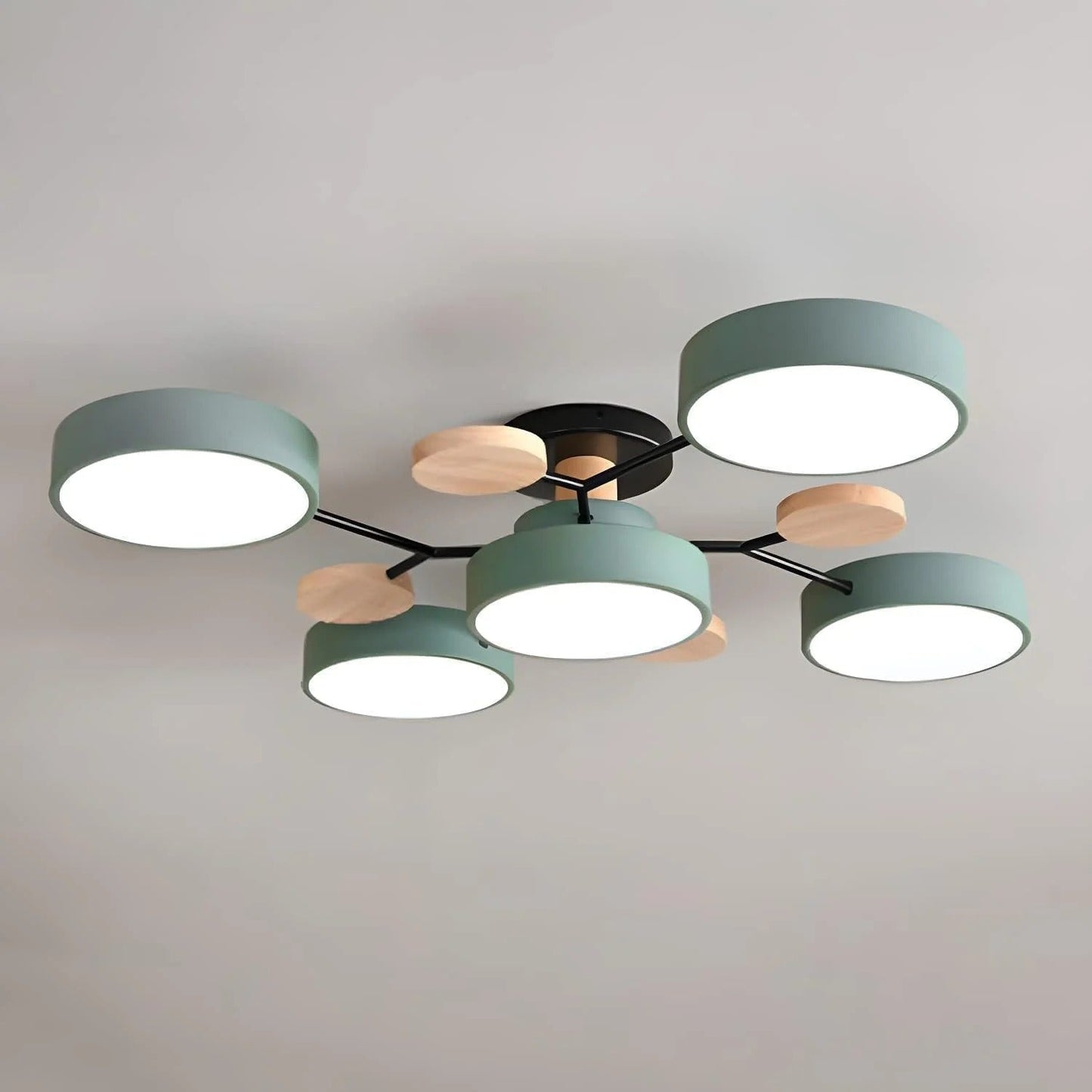 Sleek LED Ceiling Mount Lighting Fixture