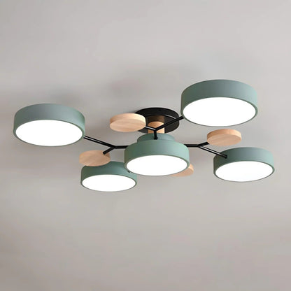 Sleek LED Ceiling Mount Lighting Fixture