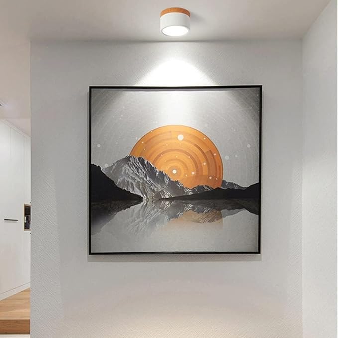 Slim Modern LED Ceiling Light