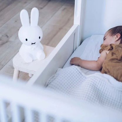 Classic Miffy Desk Table Lamp