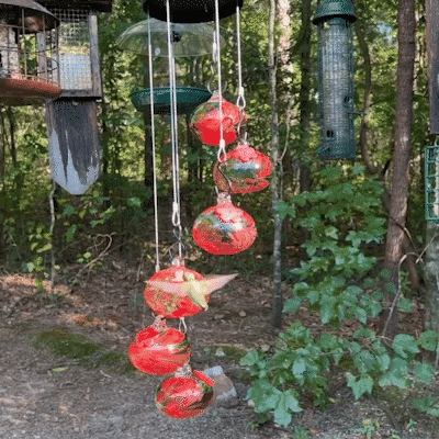 Vibrant Bird Outdoor Yard Decor