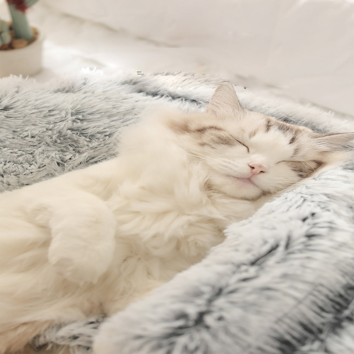 Cozy Pet Bedding for Calm Sleep