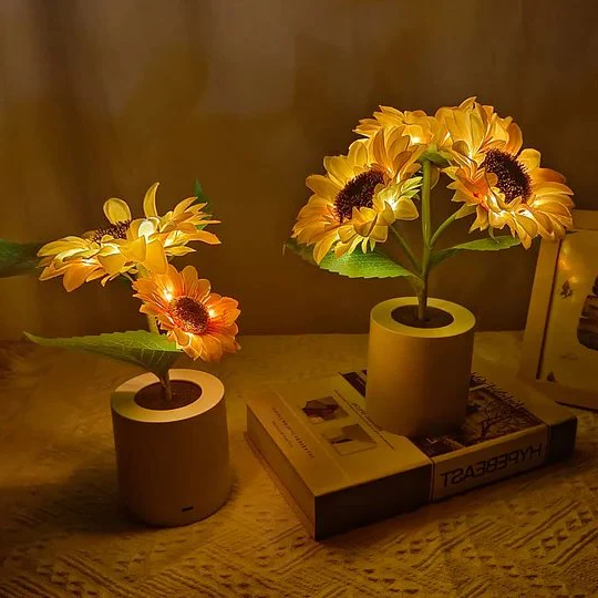 Colorful LED Garden Table Light