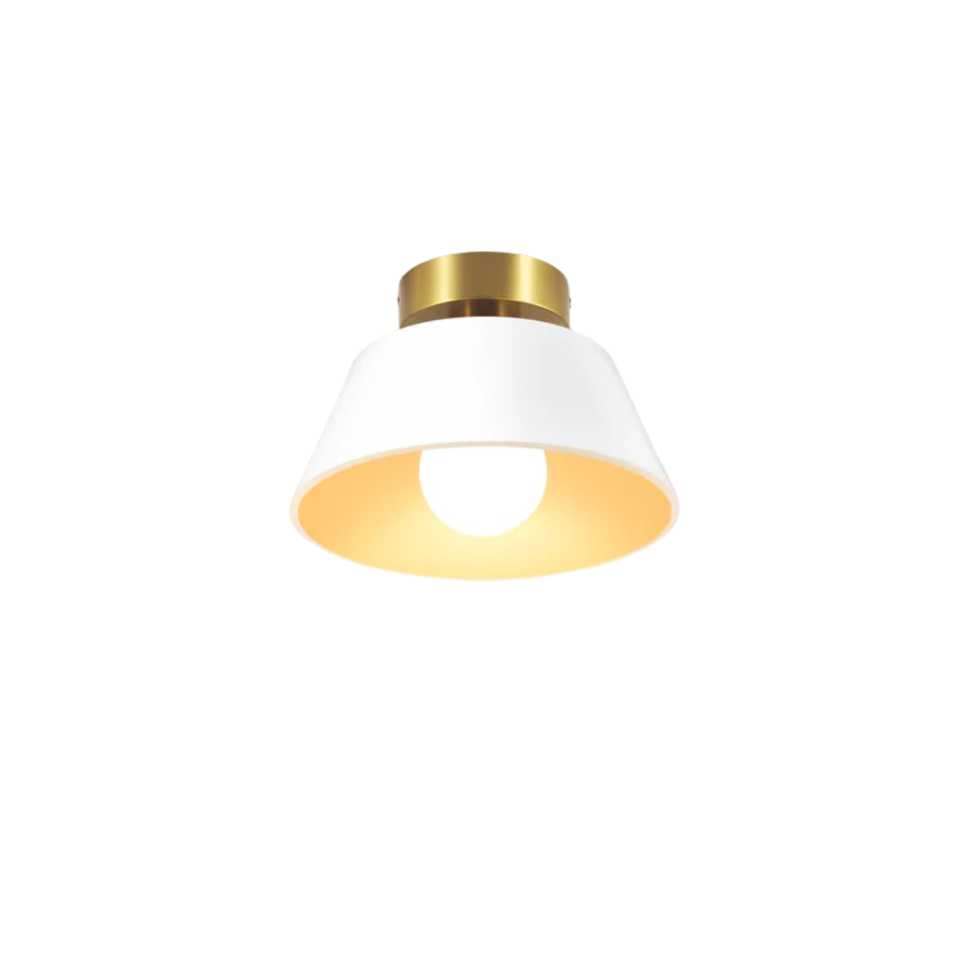 Classic LED Ceiling Light Fitting