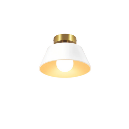 Classic LED Ceiling Light Fitting