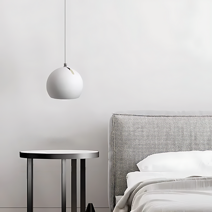 Elegant Hanging Pendant Light Fixture
