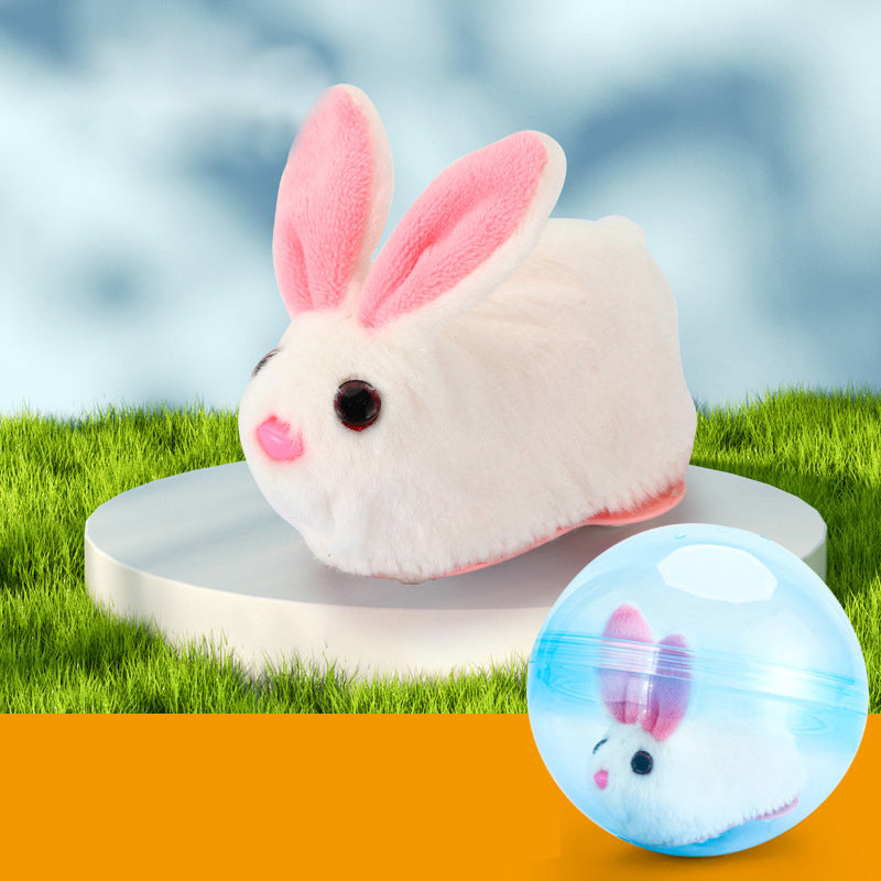 Bouncy Pet Play Ball Toy