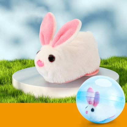 Bouncy Pet Play Ball Toy