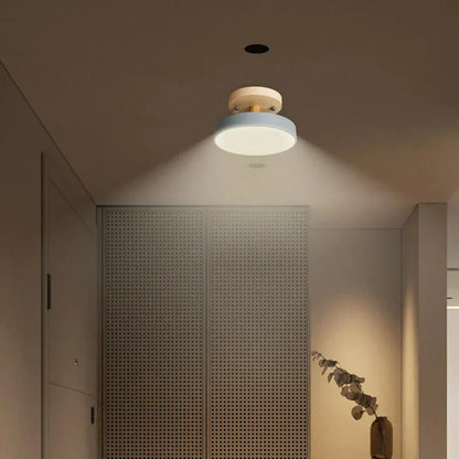 Modern Thin LED Ceiling Lamp