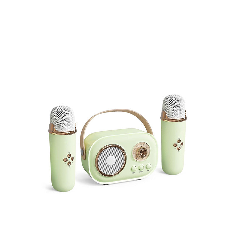 Wireless Karaoke Machine with Bluetooth Microphone