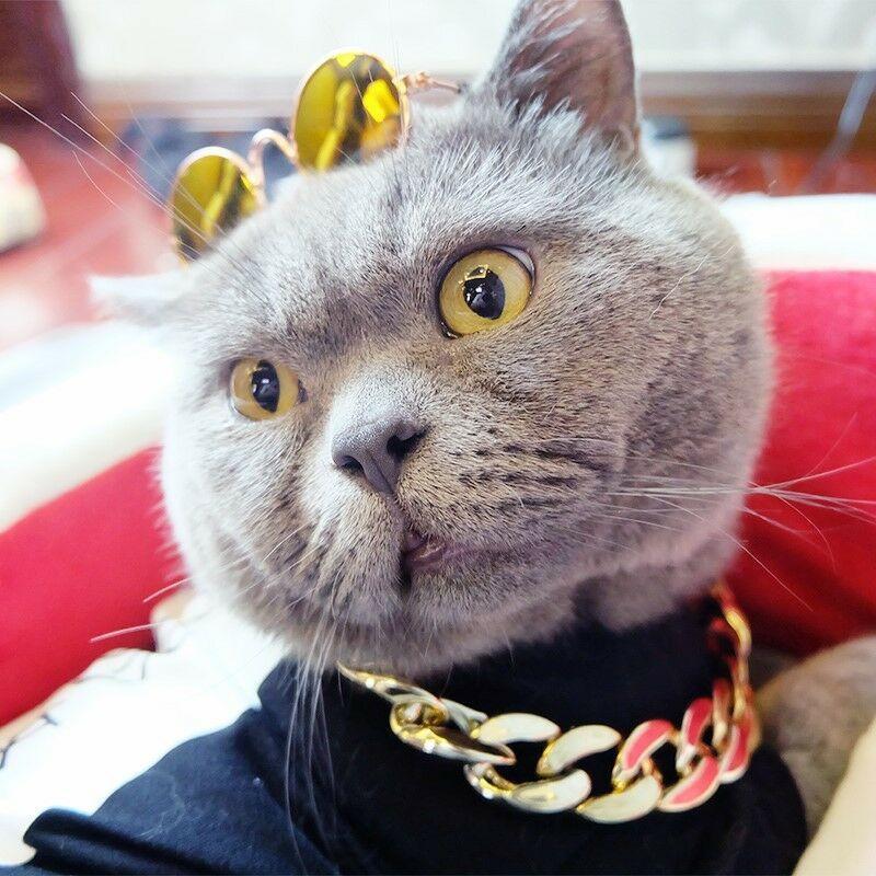 Luxury Pet Gold Chain Choker Collar
