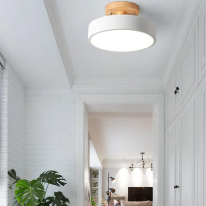 Modern Thin LED Ceiling Lamp