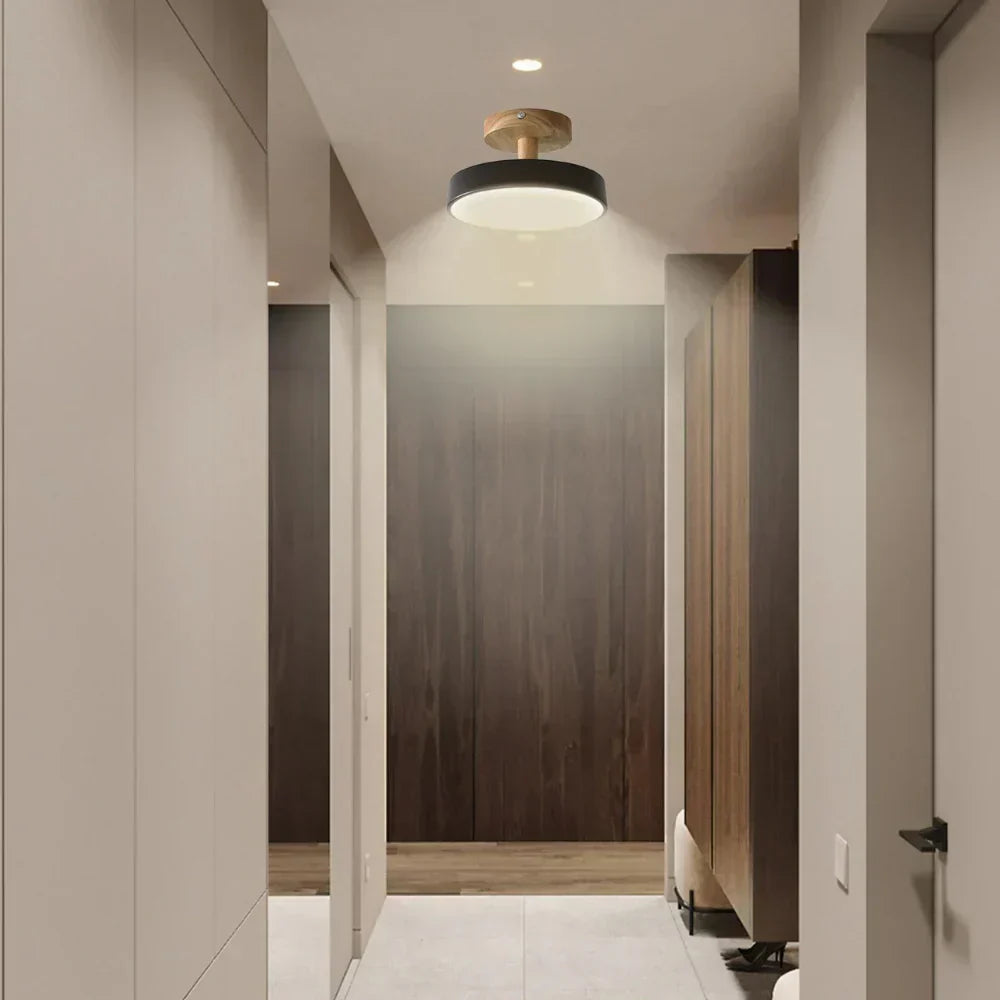 Modern Thin LED Ceiling Lamp