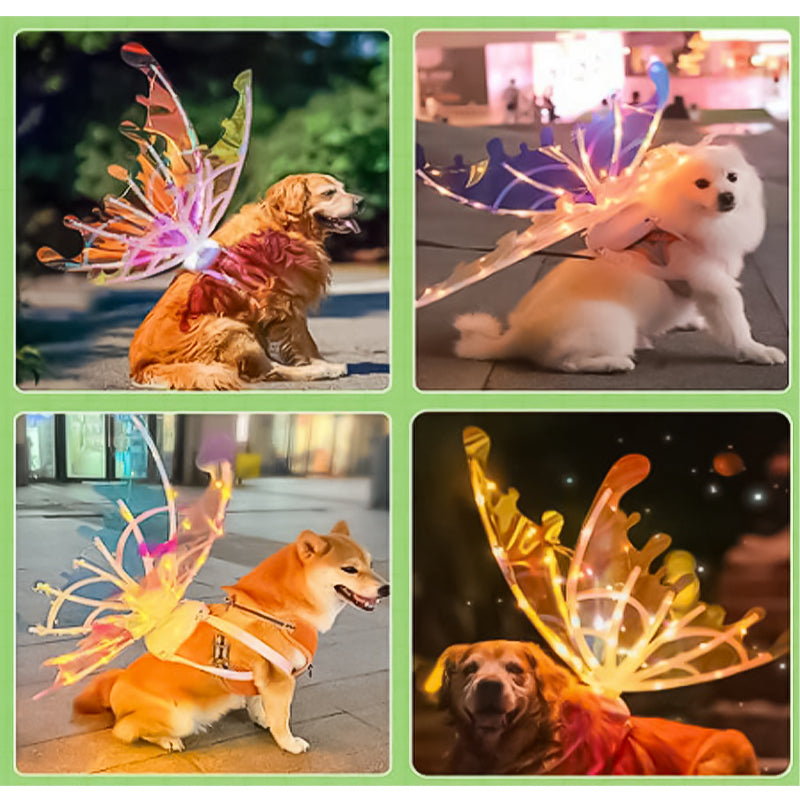 Vibrant LED Fairy Wing Decor Lights