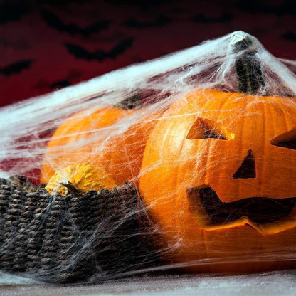 Creepy Halloween Cobweb Decorations