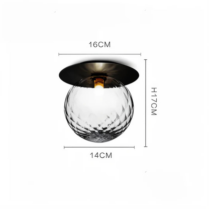 Bright LED Ceiling and Wall Mount Light