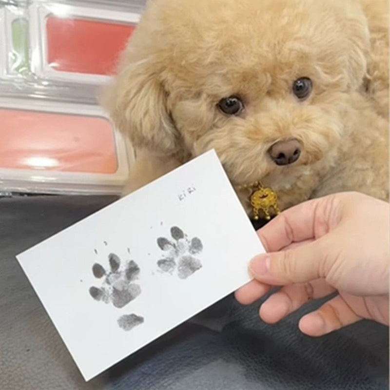 Customizable Dog Paw Photo Frame