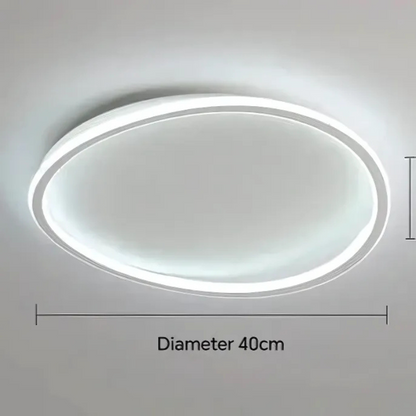 Thin Modern Overhead Light Fixture