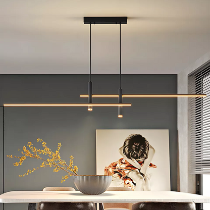 Modern Ceiling Drop Lamp