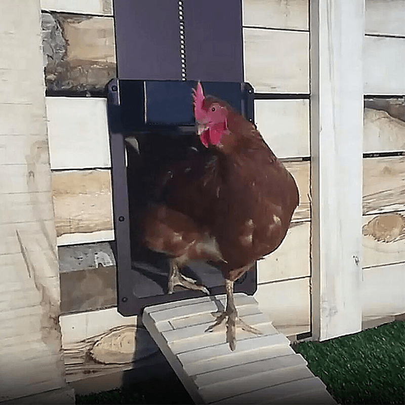 Simple Auto Chicken Coop Door Opener