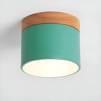 Classic Retro Style LED Ceiling Light