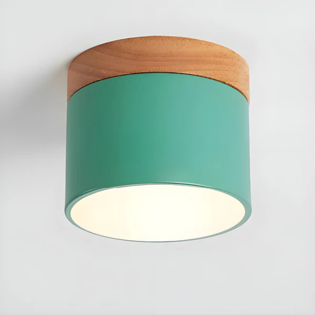 Vintage Look LED Ceiling Lamp