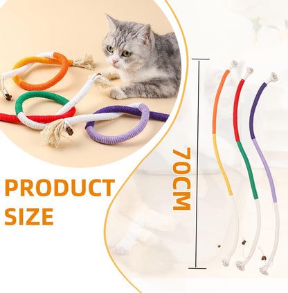 Playful Kitten Entertainment Toy
