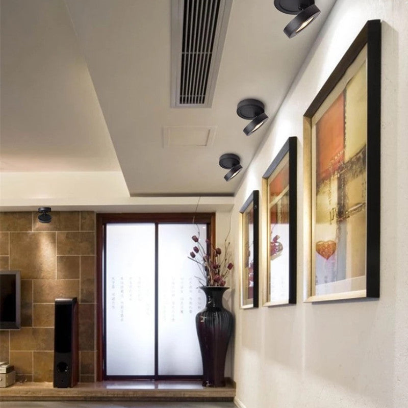 Contemporary Steel Ceiling Spot Lamp