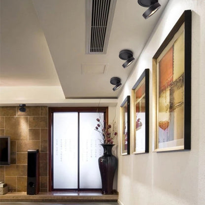 Contemporary Steel Ceiling Spot Lamp