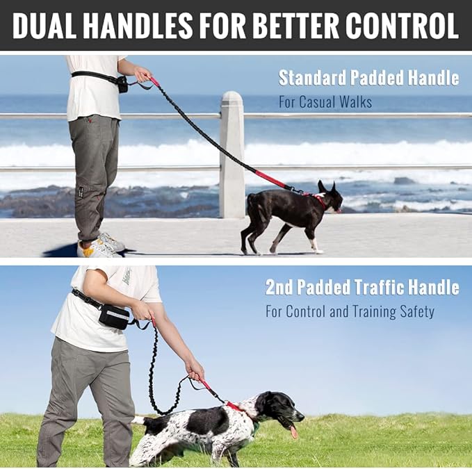 Comfortable No Pull Dog Harness Leash