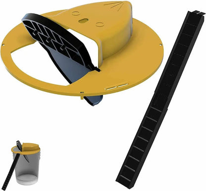 Effective Rat Trap Solution for Home Protection - Luxicro
