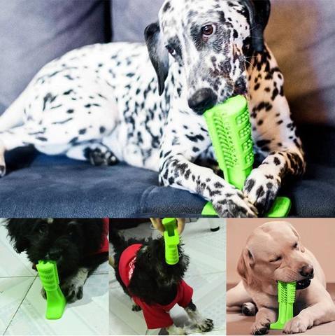 Best Dog Toothbrush for Healthy Teeth
