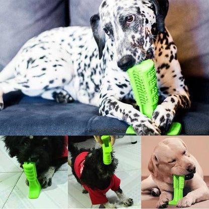 Best Dog Toothbrush for Healthy Teeth