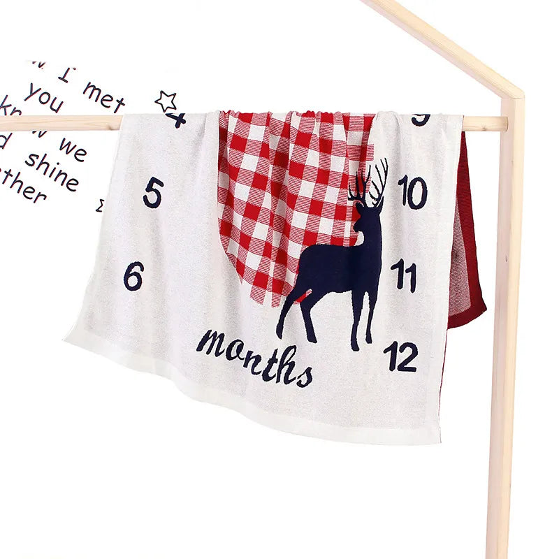 Custom Baby Blanket with Age Milestones
