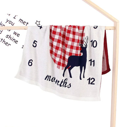 Custom Baby Blanket with Age Milestones