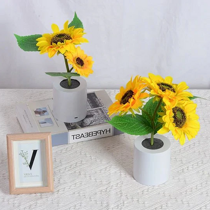 Colorful LED Garden Table Light