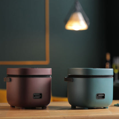 Compact Digital Rice Cooker with Steamer