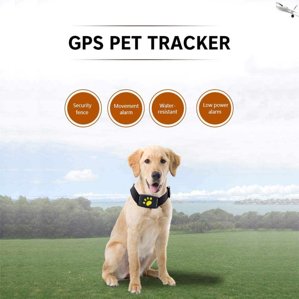 Real Time Pet Location Tracker Collar with Alerts