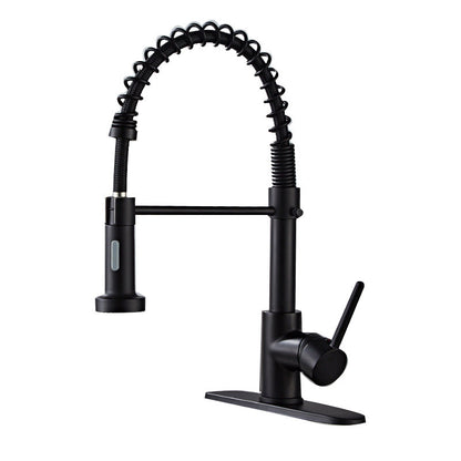 Premium 3-Function Brass Kitchen Sink Faucet Tap