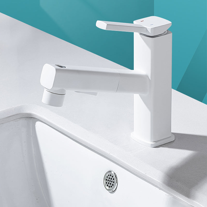 Stylish Lever Handle Kitchen Faucet with Rotating Spout