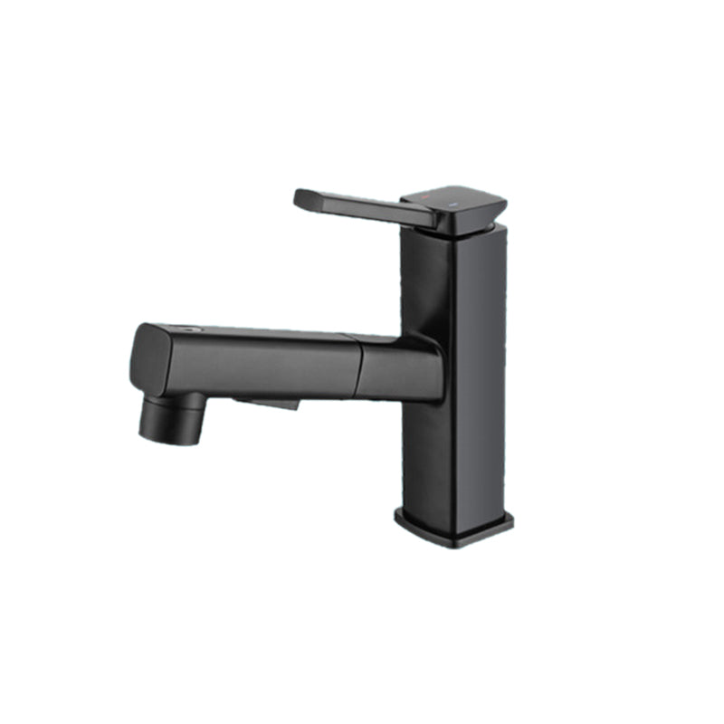 Stylish Lever Handle Kitchen Faucet with Rotating Spout - Luxicro
