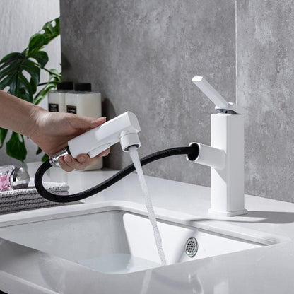 Stylish Lever Handle Kitchen Faucet with Rotating Spout