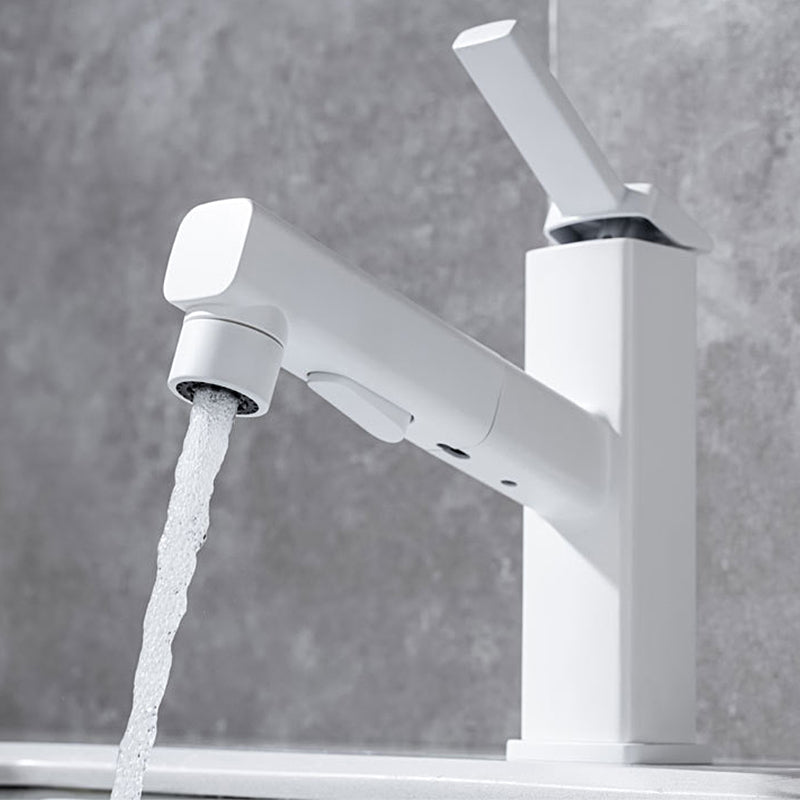 Stylish Lever Handle Kitchen Faucet with Rotating Spout