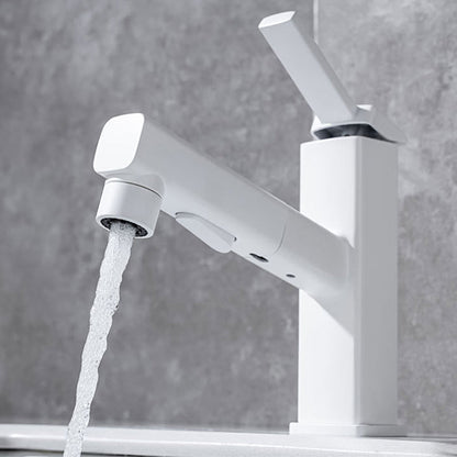 Stylish Lever Handle Kitchen Faucet with Rotating Spout