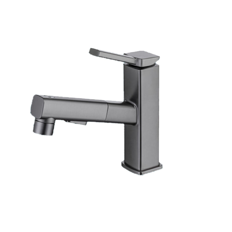 Stylish Lever Handle Kitchen Faucet with Rotating Spout