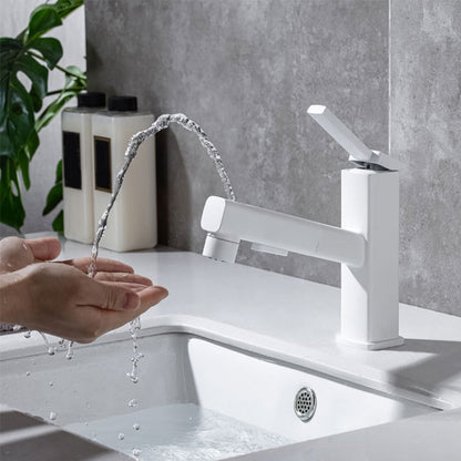 Stylish Lever Handle Kitchen Faucet with Rotating Spout