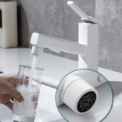 Stylish Lever Handle Kitchen Faucet with Rotating Spout
