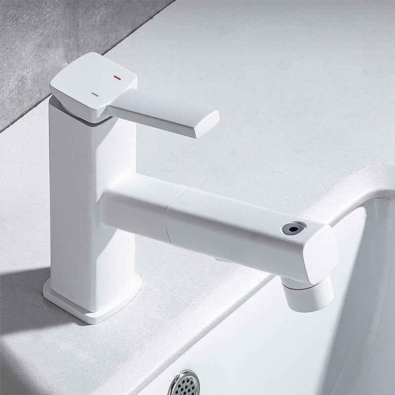 Stylish Lever Handle Kitchen Faucet with Rotating Spout