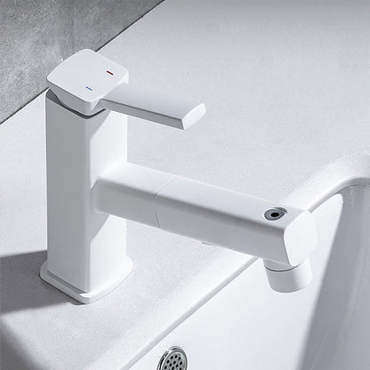 Stylish Lever Handle Kitchen Faucet with Rotating Spout